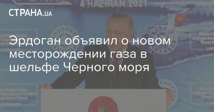 Эрдоган объявил о новом месторождении газа в шельфе Черного моря