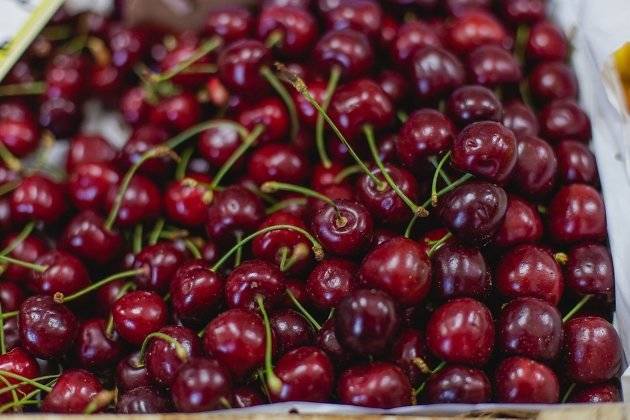 Свежая клубника, черешня и абрикосы поступили в «Планету витаминов» в Чите