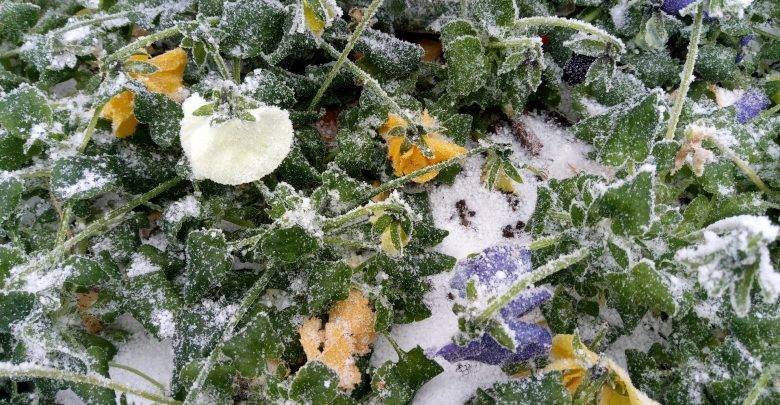 Купальный сезон откладывается: Жителей ряда регионов России предупредили о грядущих заморозках