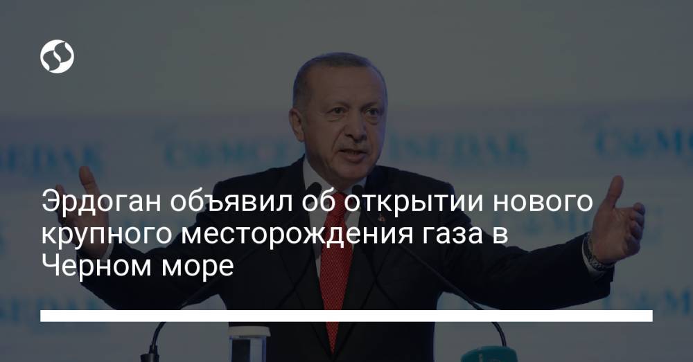 Эрдоган объявил об открытии нового крупного месторождения газа в Черном море