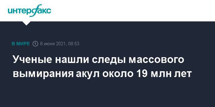 Ученые нашли следы массового вымирания акул около 19 млн лет