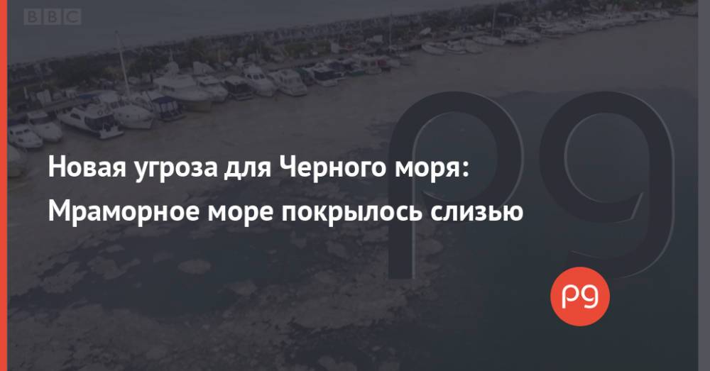 Новая угроза для Черного моря: Мраморное море покрылось слизью