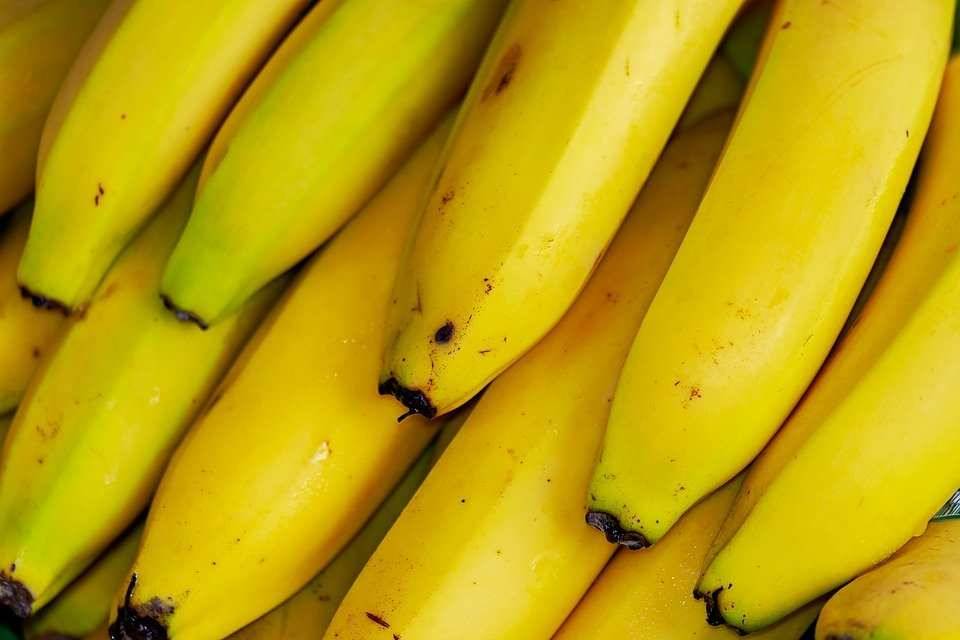 Диетологи предупредили об опасном побочном эффекте чрезмерного употребления бананов