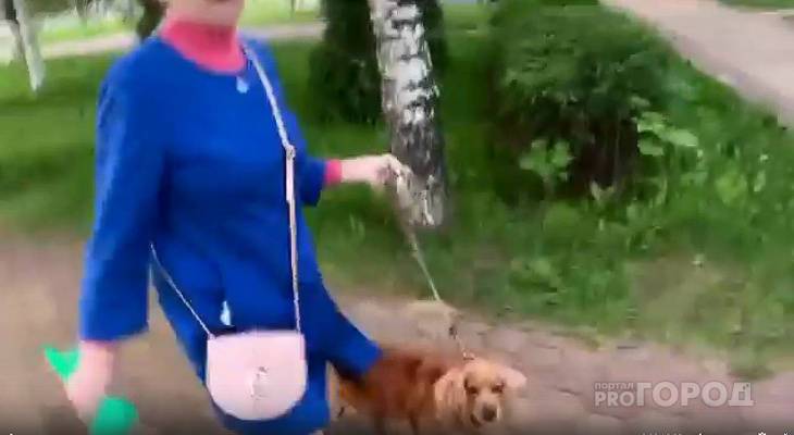 В Чебоксарах собака на глазах хозяйки покусала 9-летнего мальчика: "Пусть не бегает"