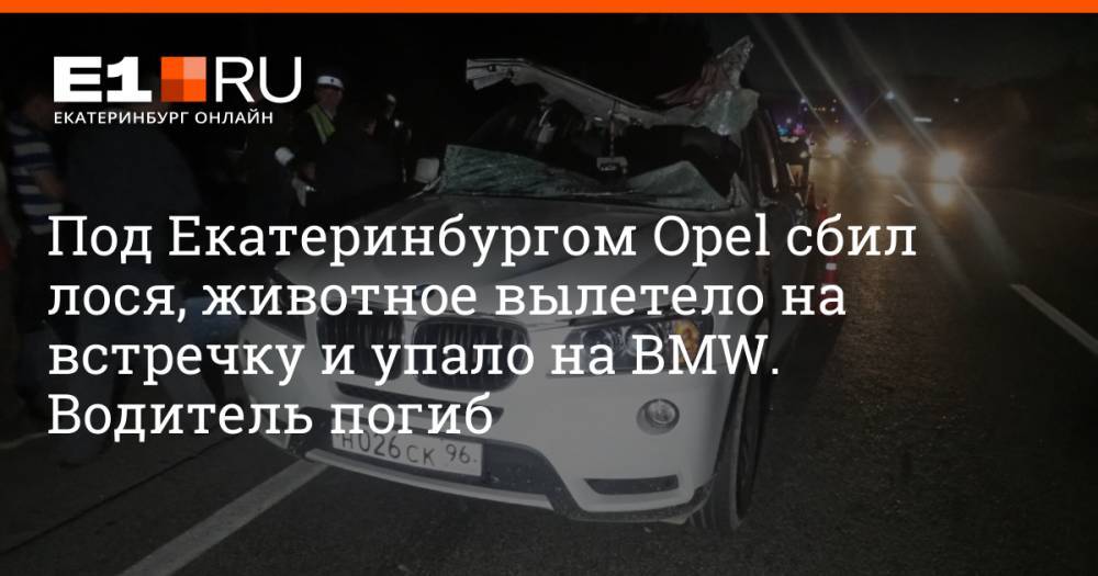 Под Екатеринбургом Opel сбил лося, животное вылетело на встречку и упало на BMW. Водитель погиб
