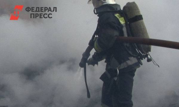 На Урале МЧС предупреждает поджигателей пуха об уголовном наказании