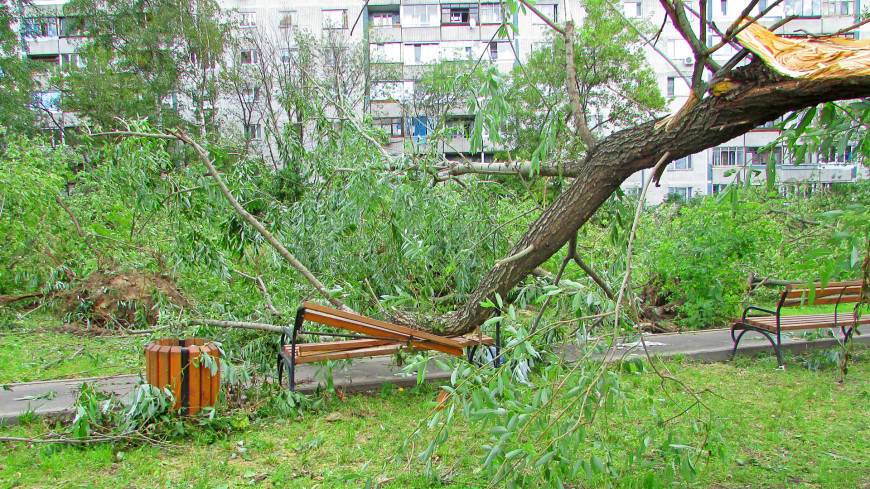Погода в СНГ: Шымкент приходит в себя после урагана, Душанбе накрыла опасная жара