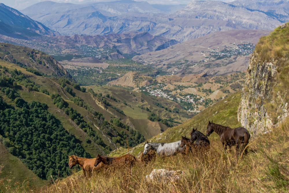 Первый природный парк создадут в высокогорном селе Дагестана