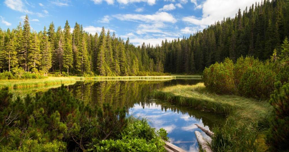 Зеленский объявил о начале аудита водных ресурсов Украины
