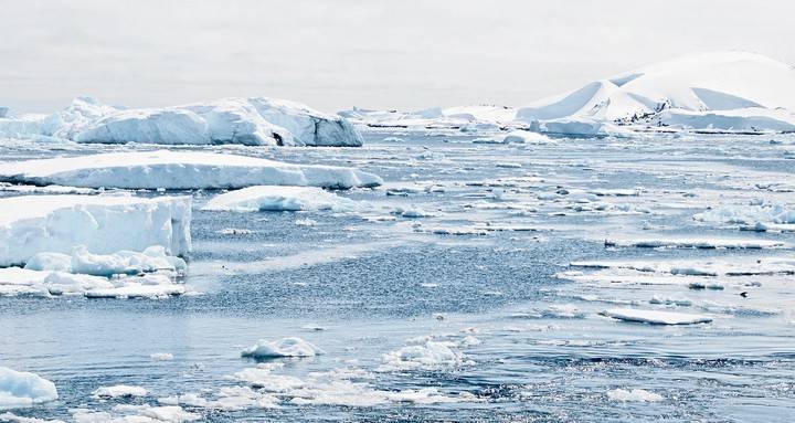 Ученые выяснили, что Антарктиду могли открыть на 1000 лет раньше