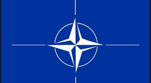В Литве начали жаловаться на поведение солдат НАТО во время учений