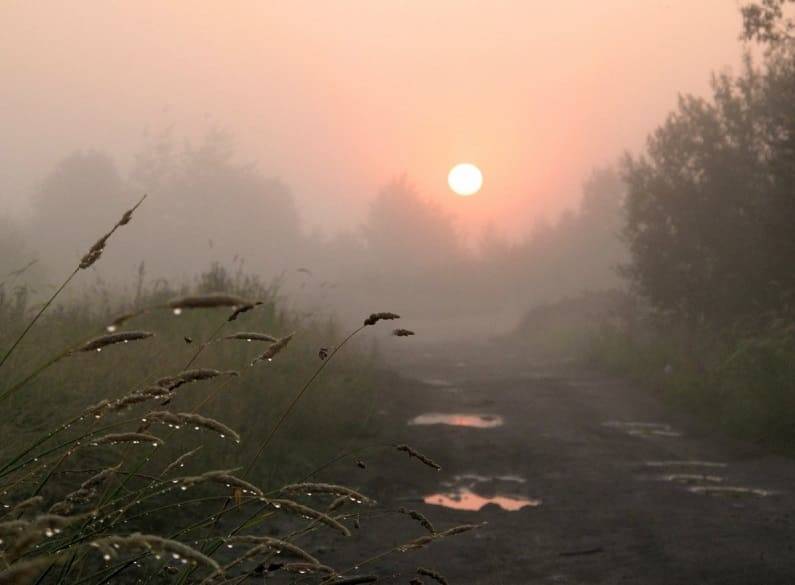 Ночью – туман, днем - гроза. Прогноз погоды в Смоленской области на 8 июня