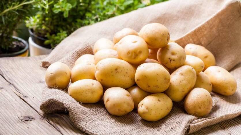 Россия увеличит импорт белорусского картофеля, чтобы стабилизировать цены на него