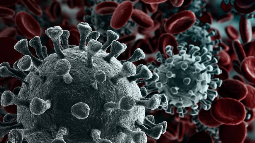 Ученые США заявили о доказательствах искусственного происхождения коронавируса