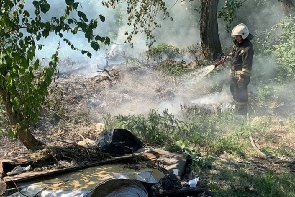 Начата проверка из-за крупного пожара в ЦПКиО Екатеринбурга