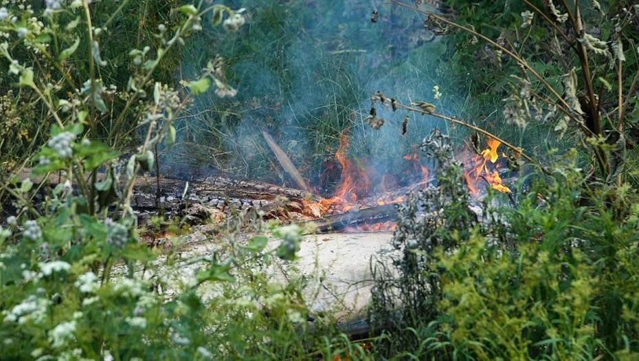 Крупный лесной пожар тушат в Мурманской области