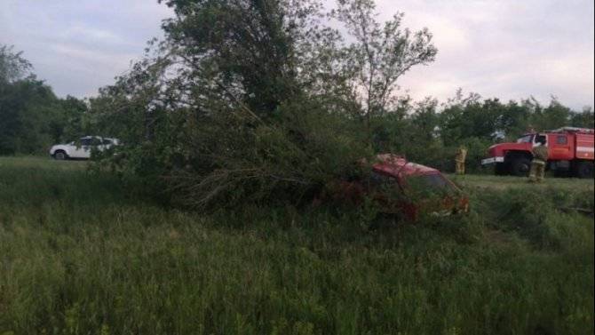 В Волгоградской области ВАЗ врезался в дерево – погибли двое