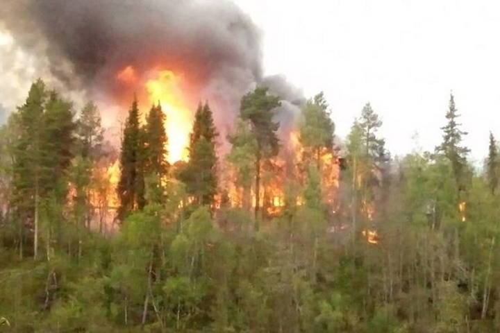 Площадь пожара в Мурманской области перестала увеличиваться, но огонь пока не локализован