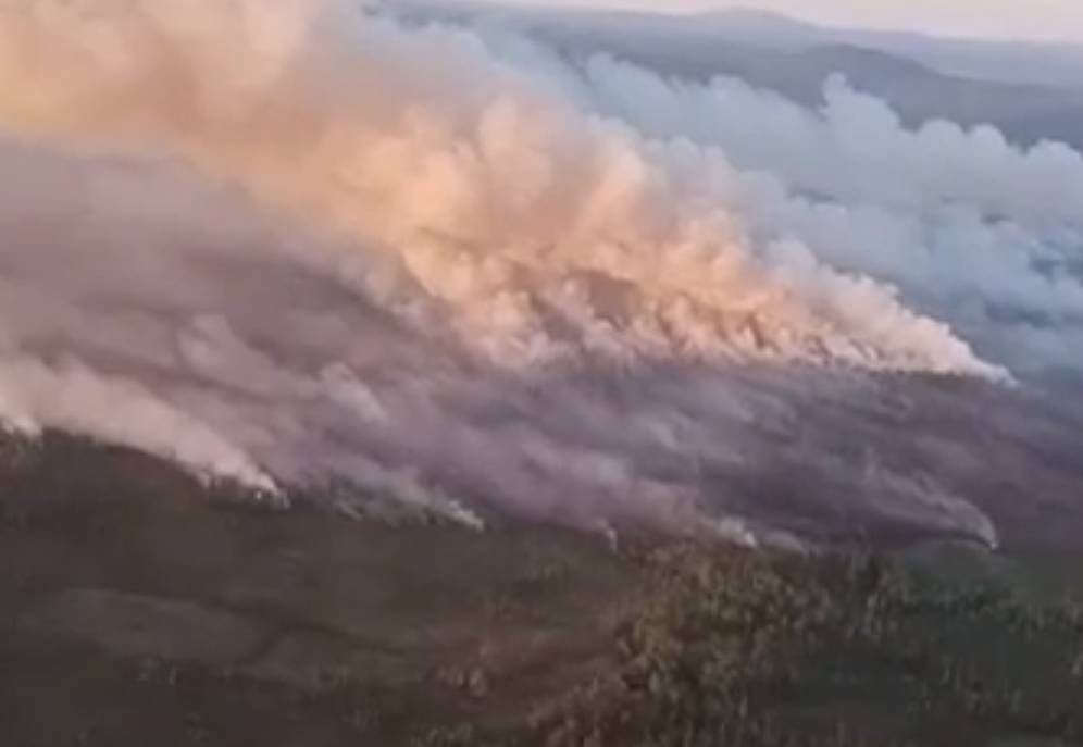 На тушение лесного пожара в Мурманске отправили спасателей из Петербурга