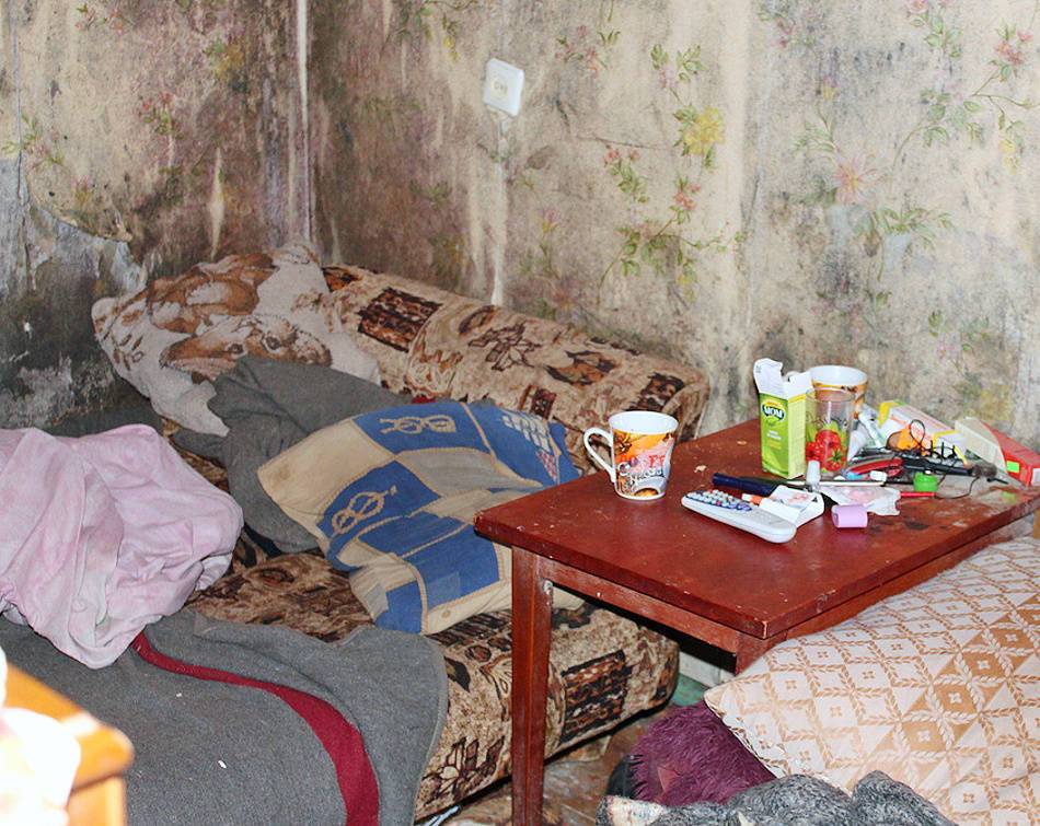 Коммунальщики в Ленобласти оставили семью с пятью детьми без электричества
