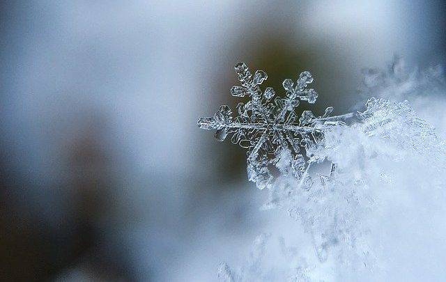Жителей России предупредили об исчезновении снежных зим