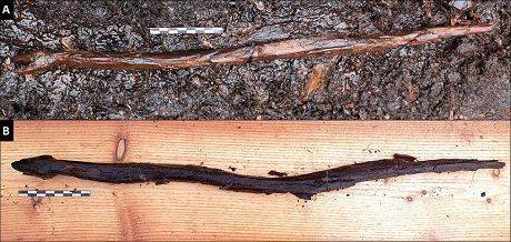 «Вызвал дрожь»: в Финляндии археологи обнаружили удивительный артефакт (ФОТО)