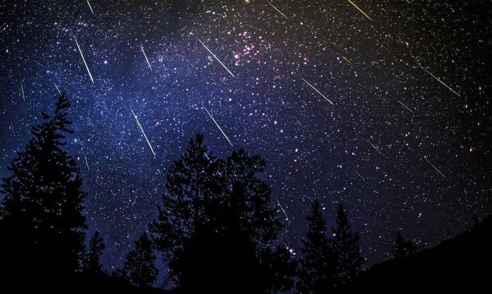 Жители Ленобласти в июле смогут увидеть два звездопада