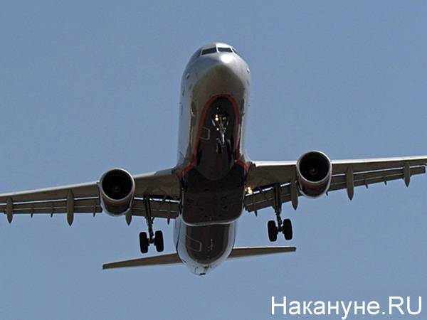 В аэропорту Екатеринбурга пассажирский самолет столкнулся с птицами при взлете