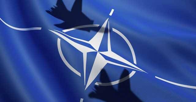 "Слуга народа" ответил, как в Украине могут появится военные базы НАТО