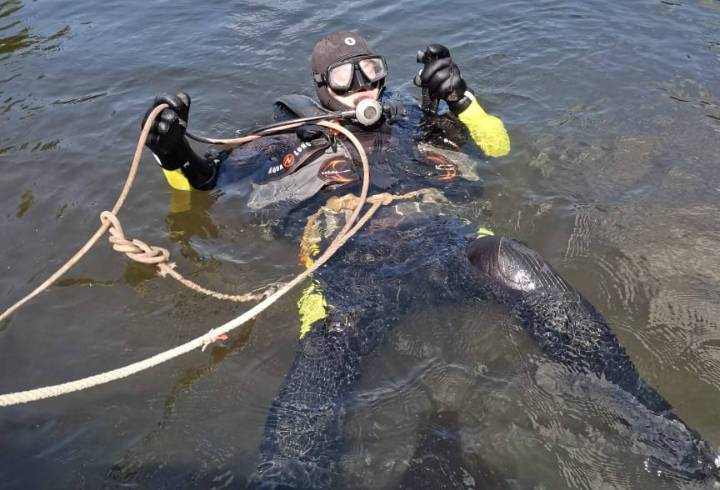 Тело утонувшего мужчины пришлось доставать спасателям из реки Оредеж - фото с места событий