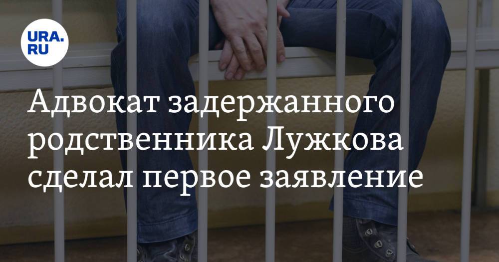 Адвокат задержанного родственника Лужкова сделал первое заявление