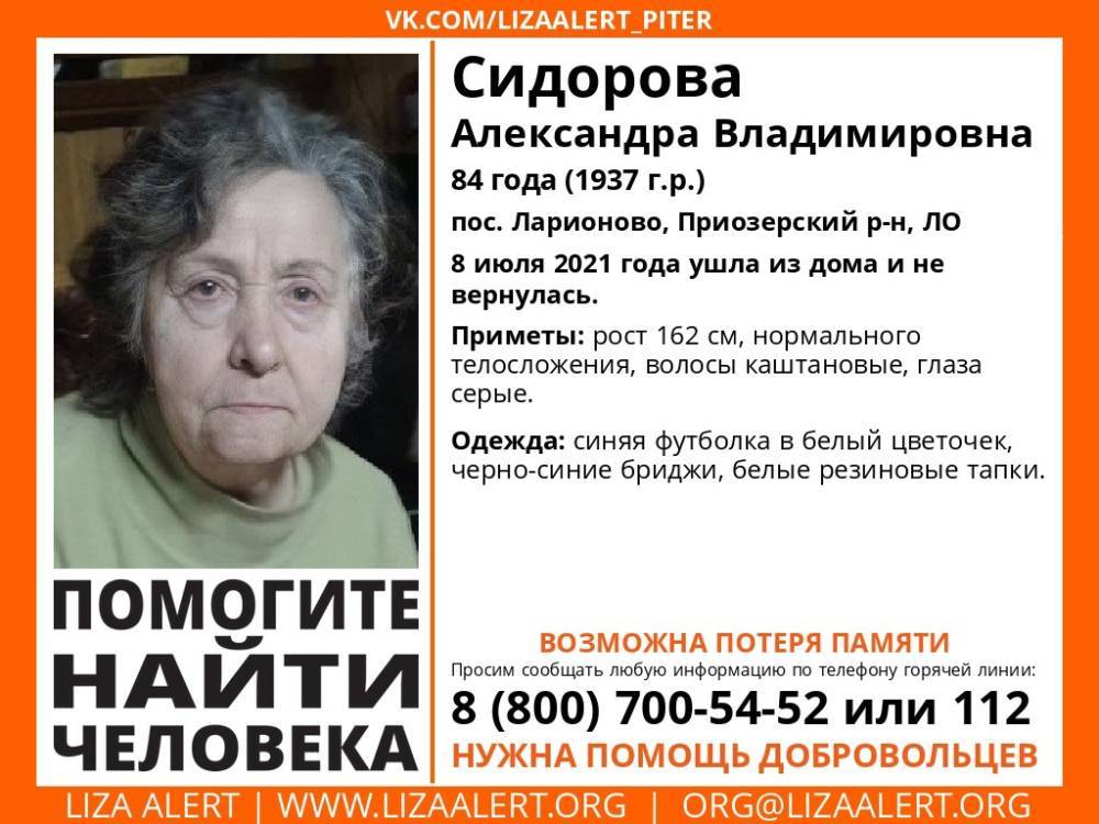В Приозерском районе без вести пропала 84-летняя женщина