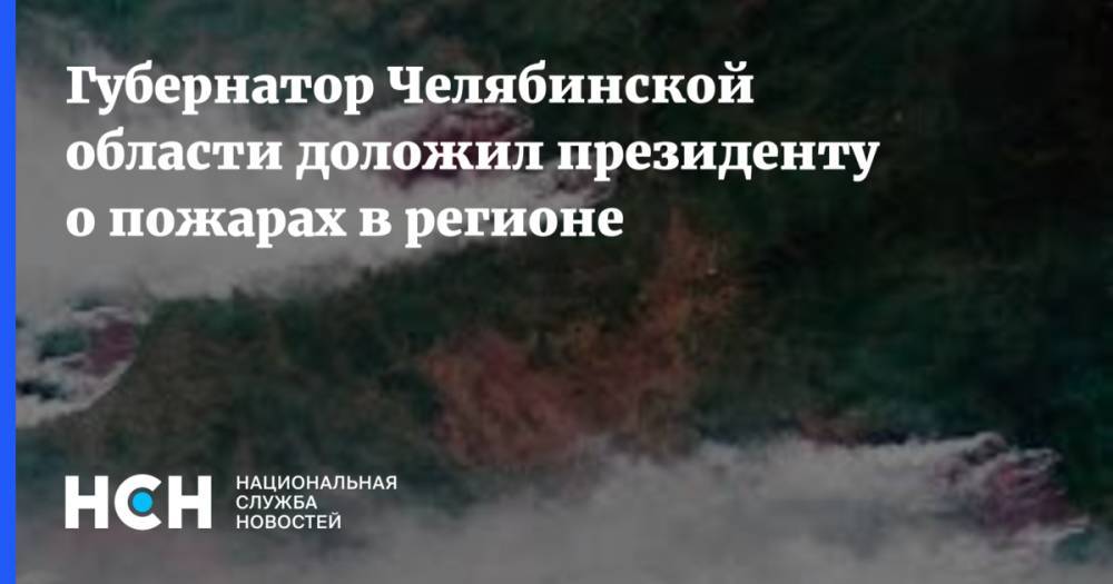 Губернатор Челябинской области доложил президенту о пожарах в регионе