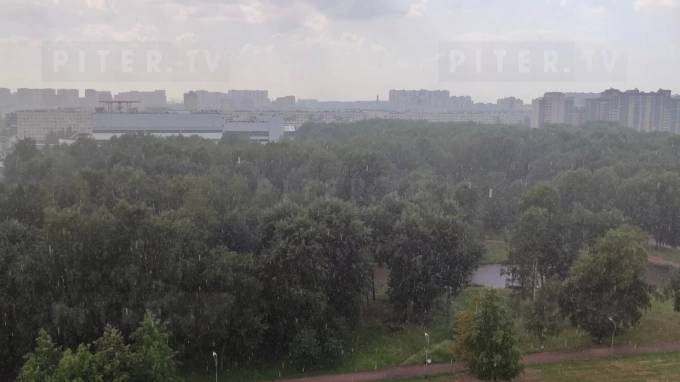 Жители Невского района радуются долгожданному дождю