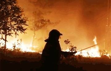 «Огненный шторм»: В Челябинской области огонь от лесных пожаров перекинулся на села