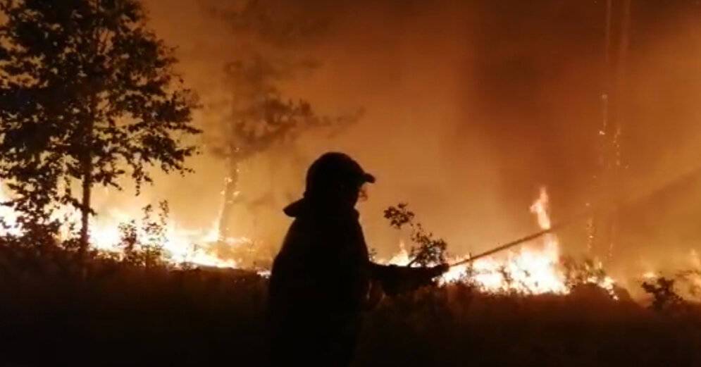 ФОТО: "Огненный шторм". В Челябинской области огонь от лесных пожаров перекинулся на села