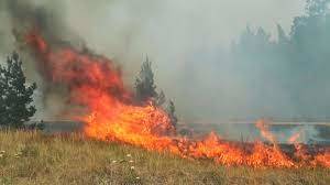Огненный апокалипсис в Челябинской области: Губернатор рассказал пугающий факт о пожарах