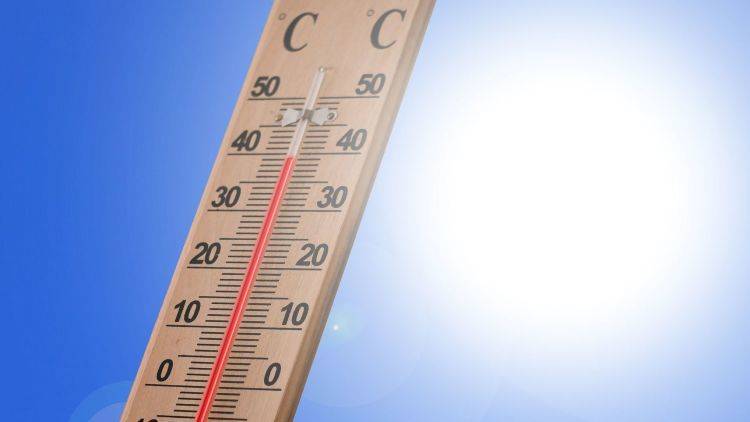 В МЧС предупредили о сорокаградусной жаре на Кубани