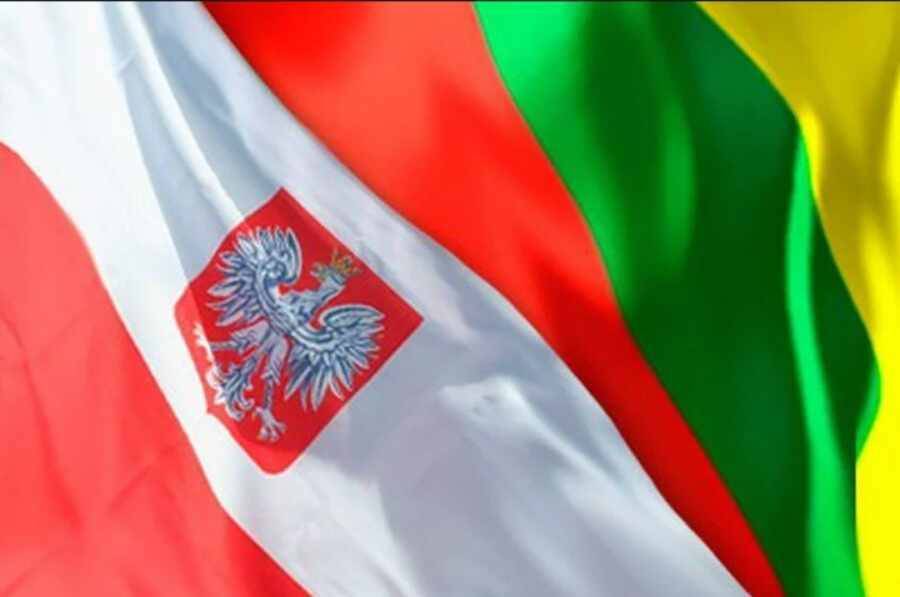 Президент Литвы призвал власти Польши включиться в разрешение миграционного кризиса