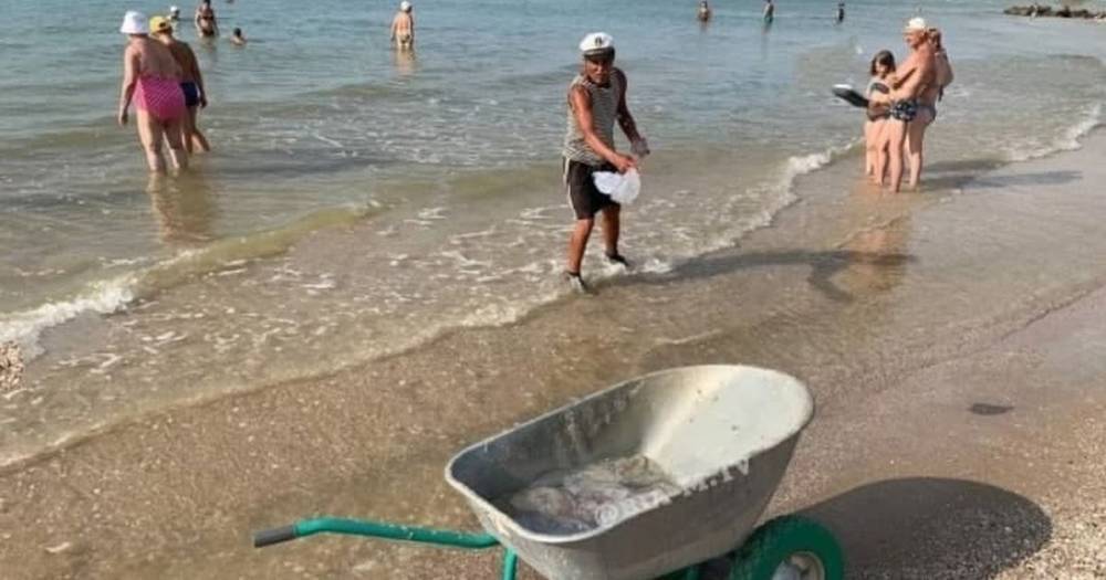 В Азовском море из-за нашествия медуз их вынуждены вывозить тачками (видео)