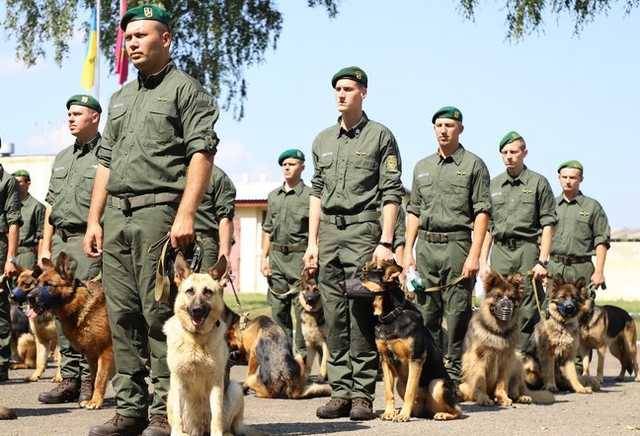 Пограничники-кинологи со служебными собаками впервые примут участие в параде на День Независимости
