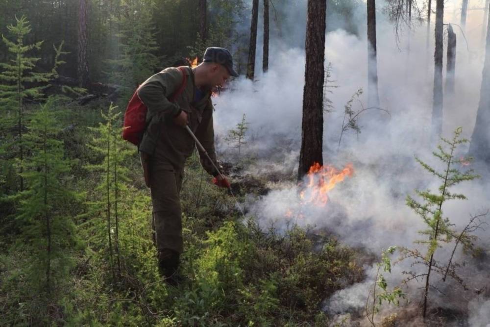 В Якутии площадь пожаров составила более миллиона гектаров
