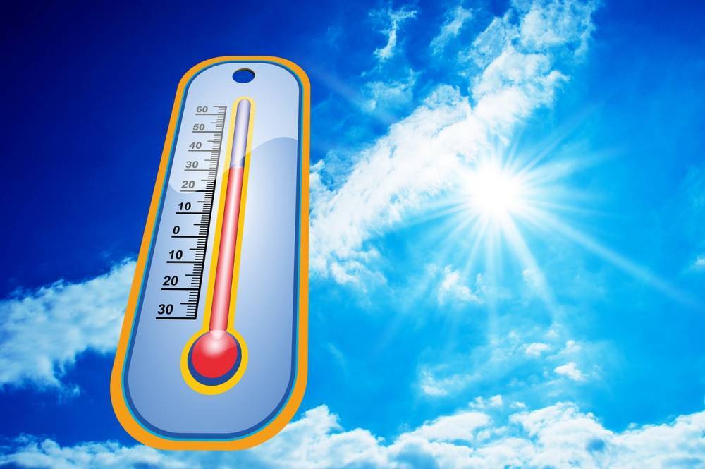 МЧС предупреждает петербуржцев об аномальной жаре 12 июля