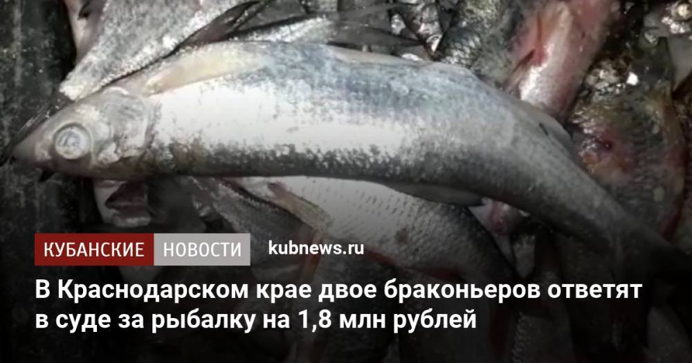 В Краснодарском крае двое браконьеров ответят в суде за рыбалку на 1,8 млн рублей