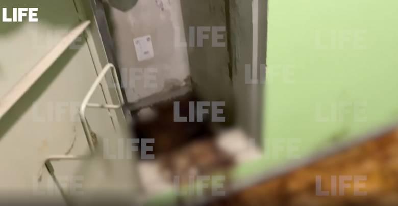 Лайф публикует жуткое видео из Люберец, где в пожарном шкафу нашли тело женщины