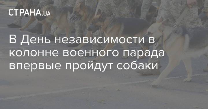 В День независимости в колонне военного парада впервые пройдут собаки
