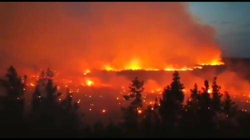 Более 550 природных пожаров зарегистрировано на территории России, сообщили в МЧС РФ