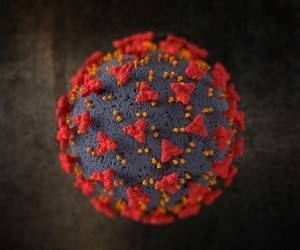Ученые: коронавирус научился обходить антитела