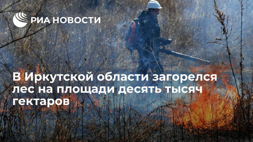 Около десяти тысяч гектаров леса горит на севере Иркутской области