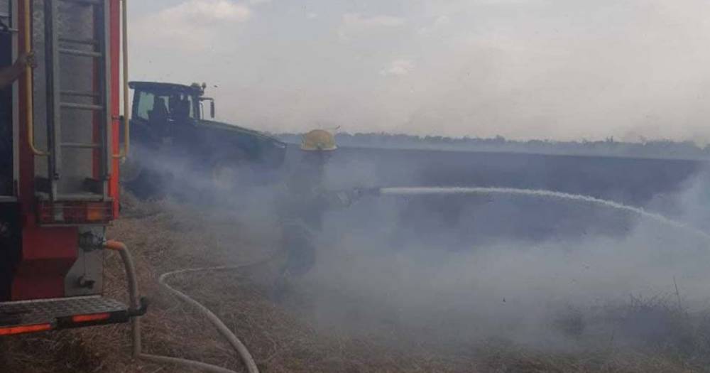 В Одесской области из-за удара молнии загорелось пшеничное поле (фото)
